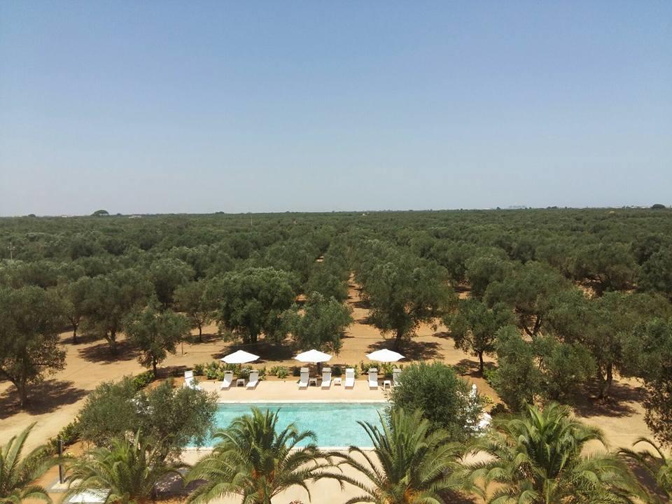Tenuta Afra Squinzano Εξωτερικό φωτογραφία